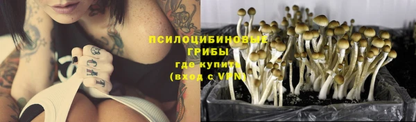 mdpv Бронницы