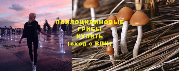 кристаллы Бородино
