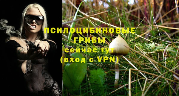 ECSTASY Бугульма