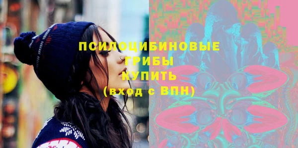 скорость Богданович